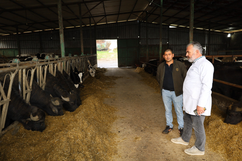 Kocaeli’de manda sayısı Büyükşehir’in desteğiyle artıyor 2 1763128776 43f74d374a