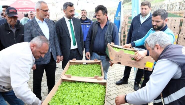 Gebzeli çiftçiye 500 bin sebze fidesi