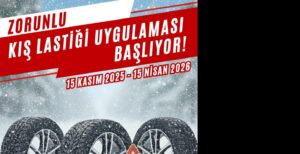 kocaeli8217ye zorunlu kis lastigi uyarisi