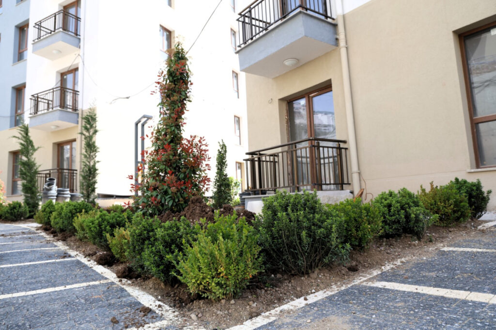Cedit, çevre düzenlemesi ile son şeklini alıyor 5 1776417674 93a8178e7e