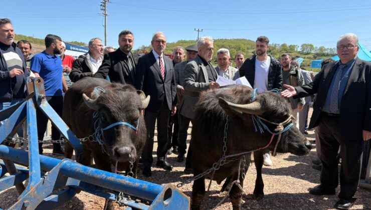Kocaeli’de hayvancılık, Büyükşehir’le daha kolay