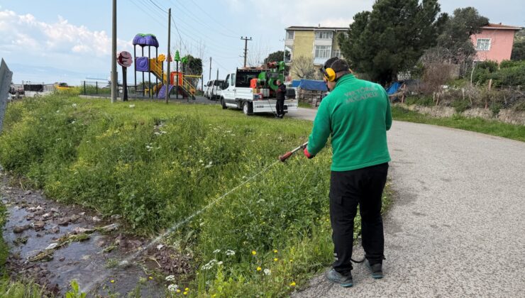 100 kişilik dev ekip, vektörle mücadele için sahada