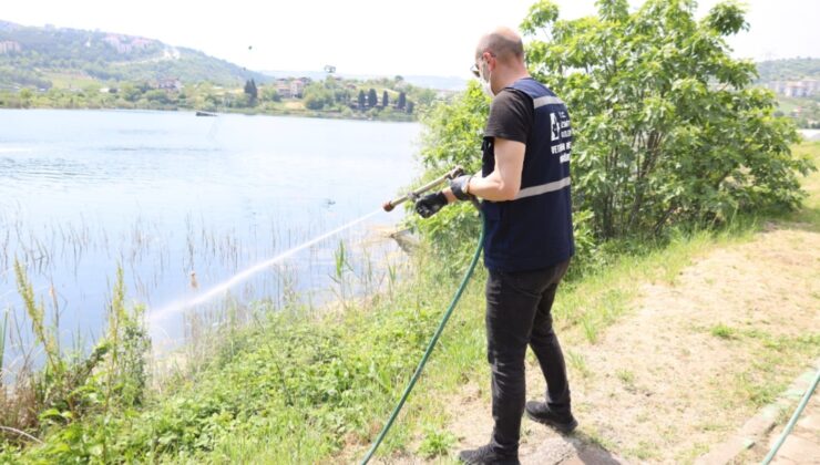 İzmit’te ilaçlama çalışmaları devam ediyor
