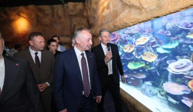 Körfez Aqua’yı müjdeyle açıldı:İlk 2 gün ücretsiz