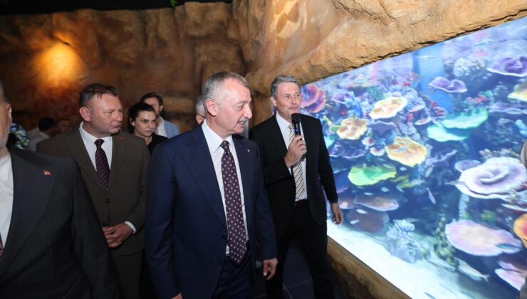 Körfez Aqua’yı müjdeyle açıldı:İlk 2 gün ücretsiz