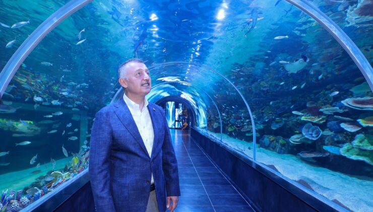 Körfez Aqua Kıtalar Akvaryumu kapılarını açıyor
